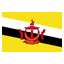 Brunei Darussalam flag