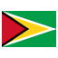 Guyana flag