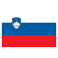 Slovenia flag